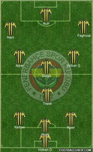 Fenerbahçe SK Formation 2015