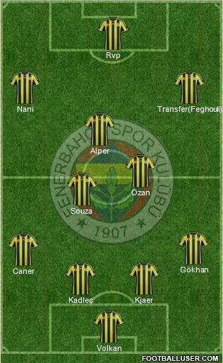 Fenerbahçe SK Formation 2015