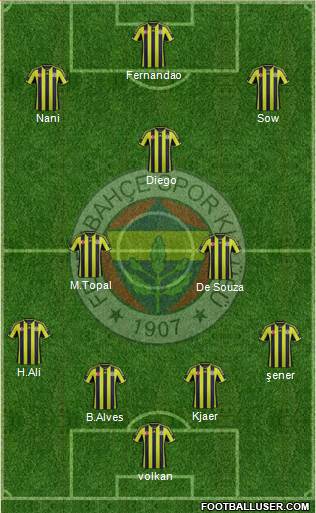 Fenerbahçe SK Formation 2015