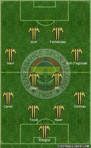 Fenerbahçe SK Formation 2015