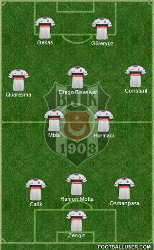 Besiktas JK Formation 2015