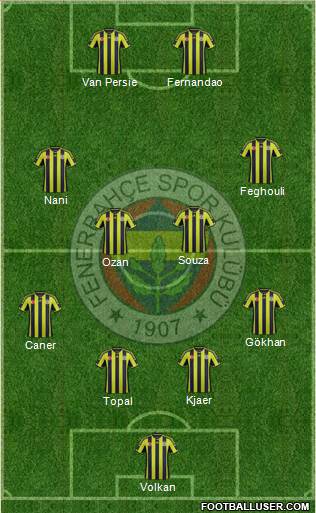 Fenerbahçe SK Formation 2015