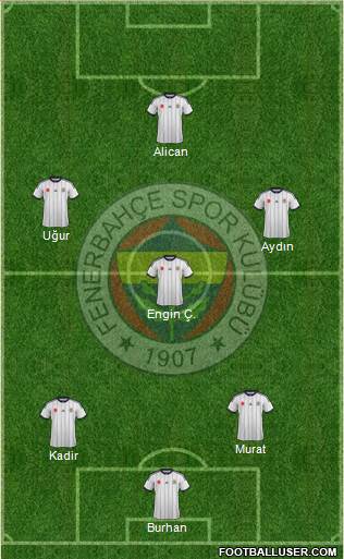 Fenerbahçe SK Formation 2015