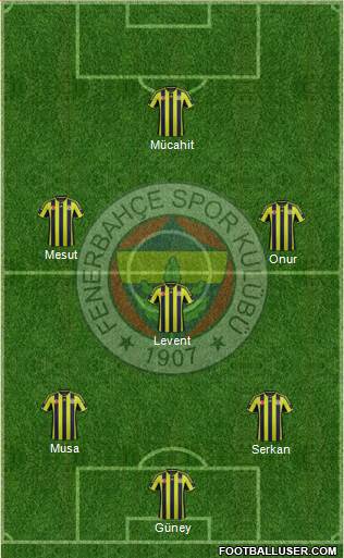 Fenerbahçe SK Formation 2015