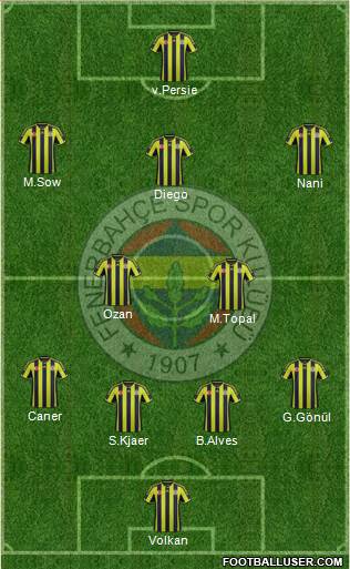 Fenerbahçe SK Formation 2015