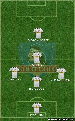 CSD Colo Colo Formation 2015