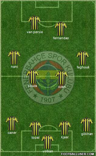 Fenerbahçe SK Formation 2015
