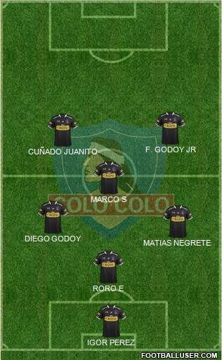 CSD Colo Colo Formation 2015
