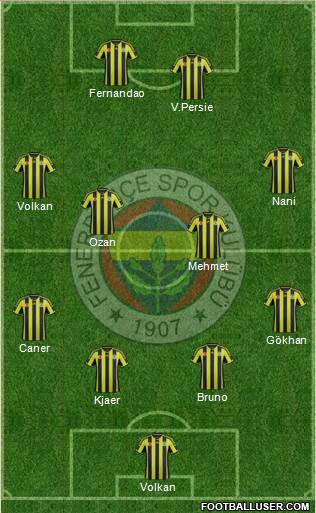 Fenerbahçe SK Formation 2015