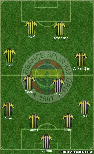 Fenerbahçe SK Formation 2015