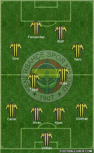 Fenerbahçe SK Formation 2015