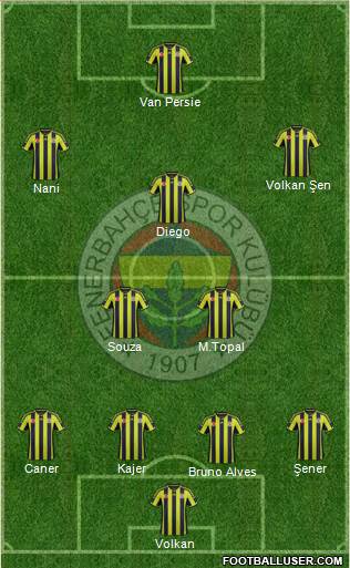 Fenerbahçe SK Formation 2015