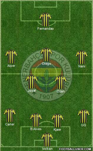 Fenerbahçe SK Formation 2015