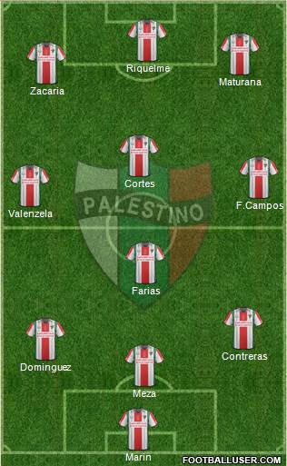 CD Palestino S.A.D.P. Formation 2015