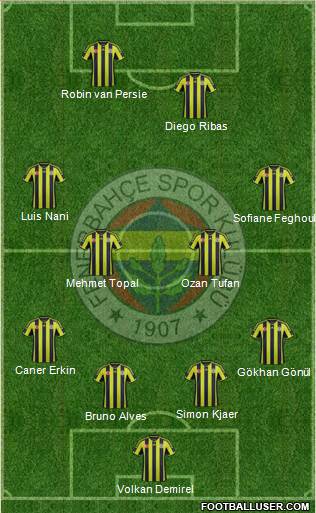 Fenerbahçe SK Formation 2015