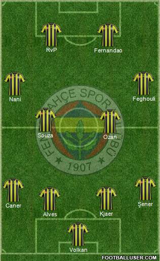 Fenerbahçe SK Formation 2015