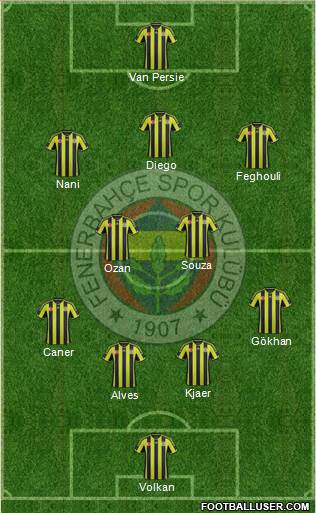 Fenerbahçe SK Formation 2015