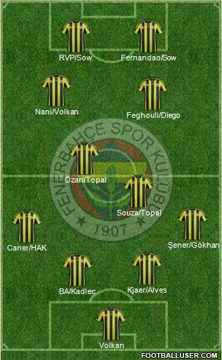 Fenerbahçe SK Formation 2015