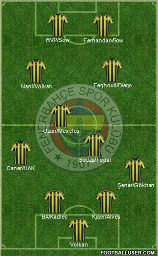 Fenerbahçe SK Formation 2015