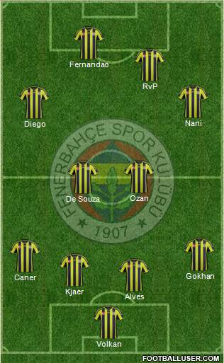 Fenerbahçe SK Formation 2015