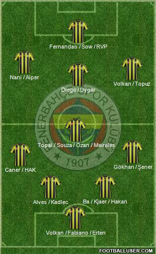 Fenerbahçe SK Formation 2015