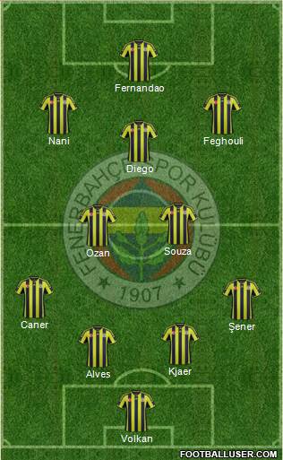 Fenerbahçe SK Formation 2015