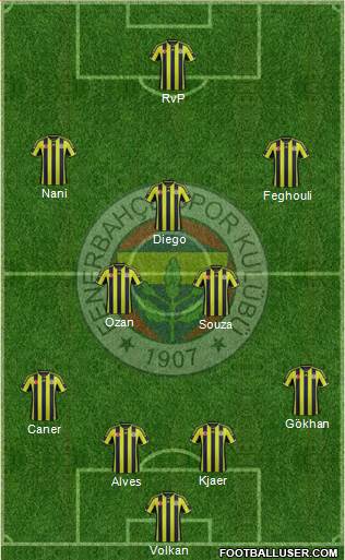 Fenerbahçe SK Formation 2015