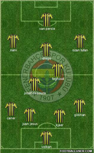 Fenerbahçe SK Formation 2015