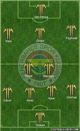 Fenerbahçe SK Formation 2015