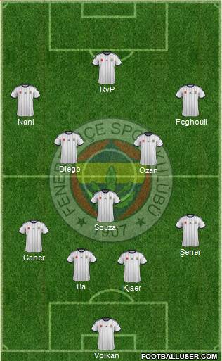Fenerbahçe SK Formation 2015
