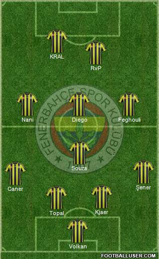 Fenerbahçe SK Formation 2015