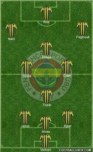 Fenerbahçe SK Formation 2015