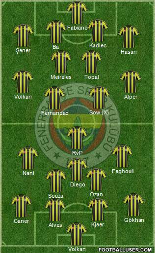 Fenerbahçe SK Formation 2015