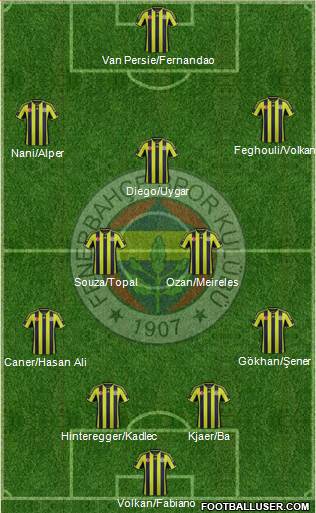 Fenerbahçe SK Formation 2015