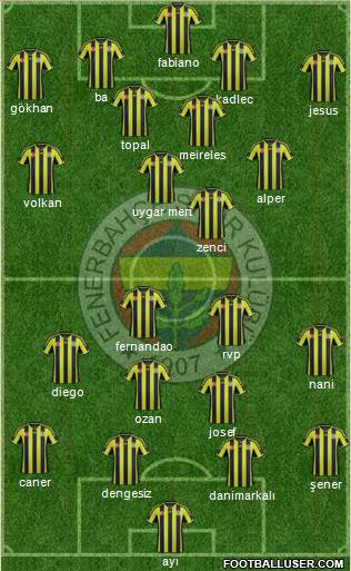 Fenerbahçe SK Formation 2015