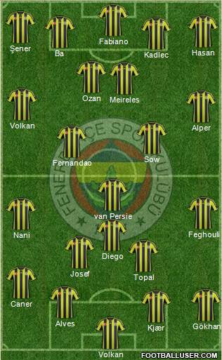 Fenerbahçe SK Formation 2015