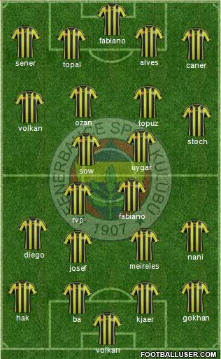 Fenerbahçe SK Formation 2015