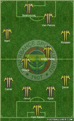 Fenerbahçe SK Formation 2015