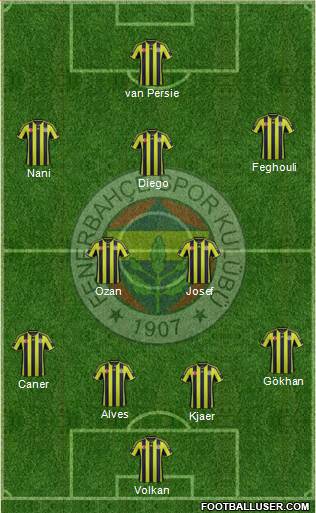 Fenerbahçe SK Formation 2015