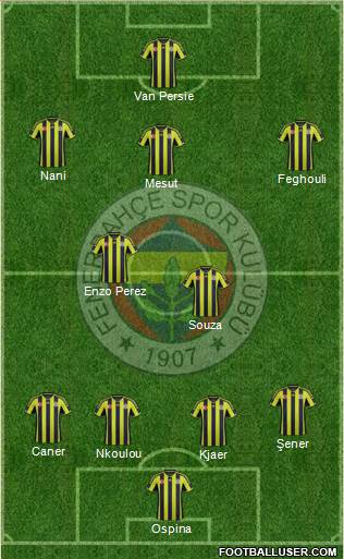 Fenerbahçe SK Formation 2015