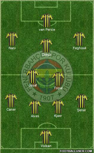 Fenerbahçe SK Formation 2015
