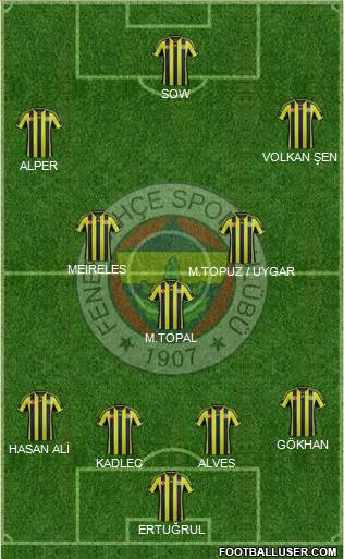 Fenerbahçe SK Formation 2015
