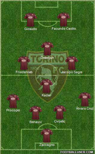 Torino Formation 2015
