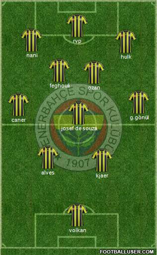 Fenerbahçe SK Formation 2015