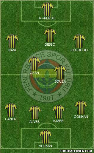 Fenerbahçe SK Formation 2015
