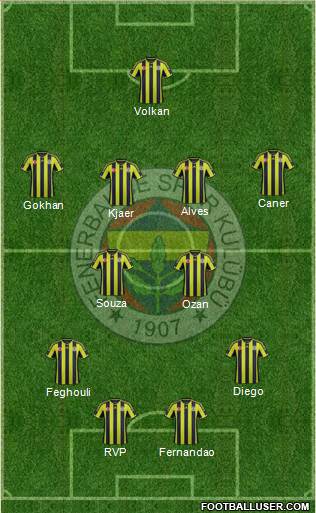 Fenerbahçe SK Formation 2015