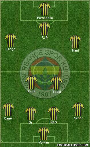 Fenerbahçe SK Formation 2015