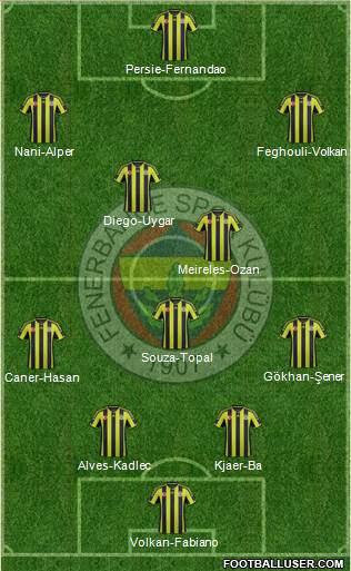 Fenerbahçe SK Formation 2015