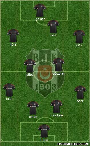 Besiktas JK Formation 2015
