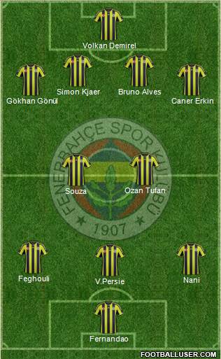 Fenerbahçe SK Formation 2015